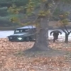 [영상] 북한군, 귀순 병사에게 무차별 총격…긴박했던 그 순간
