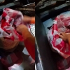 비닐봉지 안에서 피범벅으로 발견된 갓난아기