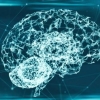 ‘인간의 뇌’에 한 발짝 더… AI칩, 4차 산업·5G 시대 연다