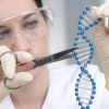 노벨상 수상 ‘크리스퍼 유전자 가위’ 오작동 가능성 검증 기술 개발