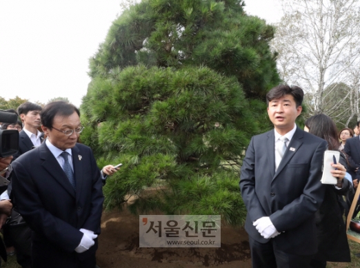 [서울포토] ‘노무현 전 대통령 소나무’와 아들 건호씨