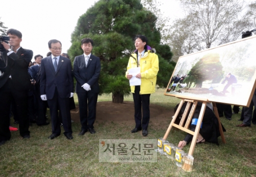 [서울포토] ‘노무현 전 대통령 소나무’ 찾은 10·4 방북단