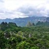 印尼서 5만년 전 동굴벽화 발견… 유럽 기원설 흔들
