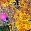 [서울포토] 가을비 내리는 풍경