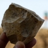 알제리서 240만년 전 석기 발견…기존 학설 뒤흔들어