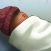 분당차병원 의사 2명 영장 신청…신생아 낙상사고 은폐 의혹