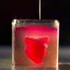 3D 프린트로 만든 혈관·조직세포 갖춘 인공심장