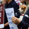‘입시비리·불법 동물실험‘ 서울대 이병천 교수 구속영장 기각