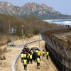 “남북 경계선 없어지길”…처음 열린 고성 DMZ 평화의 길