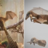 박쥐의 조상·티라노 축소판… 진화 알려주는 공룡 찾았다