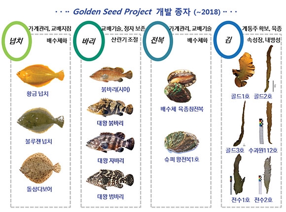 GSP 수산 종자 개발로 자급률 향상