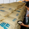 한국쌀 거부했던 北, 중국서 쌀 80만t 받는다