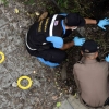 ‘장관 회담’ 방콕서 ‘탁구공 폭탄’ 연쇄폭발…최소 3명 부상