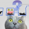‘슈뢰딩거의 고양이’ 잡고 양자컴퓨터 정보처리 성능 높인다