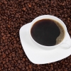 원두 사재기·공급망 손상 우려… 몸값 올라가는 커피