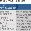 코로나 잡혀야 돈 쓰는데… 방역보다 부양에 쏠린 ‘20조 대책’