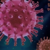 “전세계 보고안된 사례” 해외유입 변이 바이러스 3건 확인