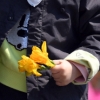 [서울포토] 꽃을 든 아이