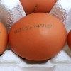 가정용 판매 달걀, 25일부터 선별포장 유통 의무화