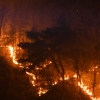 4월 마지막 주말 산불 빈발, 안동 800㏊ 산림 피해