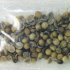 일본에도 중국발 ‘정체불명 씨앗’ 연쇄 배달…당국 “절대로 심지 마라”