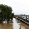 합천지역 홍수피해 배상신청
