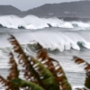 “경험한 적 없는 폭풍” 일본, 184만명 ‘하이선’ 피난 지시(종합)