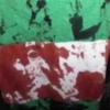나이지리아 군, 시위대 향해 발포 …“10여명 사망”
