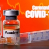 K-바이오, 전 세계 코로나19 치료제·백신 생산기지로 주목