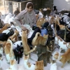 [포토] ‘니집이 내집’… 고양이·개 492마리 기르는 오만 여성