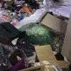 5톤 쓰레기 집…아기 시신 냉장고에 2년 보관한 母 징역 5년