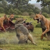“1만년 전 실존한 육식동물 ‘다이어 울프’ 진짜 멸종 원인은 기후보다 진화적 고립”