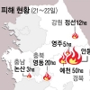 동시다발 봄산불… 불지핀 ‘안전불감’