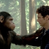 침팬지 뇌에 ‘머선 129’… 1% 바뀌면 나랑 대화?
