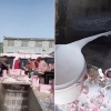 멀쩡한 우유를 ‘콸콸콸’…中 ‘짝퉁 프듀’가 부른 ‘팬투표 광풍’(영상)