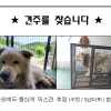 “내 개 아니다”라더니…‘남양주 살인견’ 견주 징역 1년