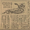 [근대광고 엿보기] 1930년대 뱀술(양명주) 광고/손성진 논설고문