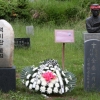 [포토] 전태일·백기완 묘소에 놓인 이광재 의원 추모화