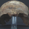 “5300년 전 이 두개골의 주인이 흑사병 최초의 감염원일 수도”