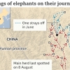 윈난성 떠돌던 아시아코끼리들 17개월 여정 살펴보니