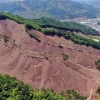 산림청 대규모 벌채 차단… “모두베기 30㏊로 축소”