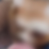 “얼굴에 화상 입은 채 발견된 고양이”...학대 여부 수사 나선 경찰