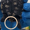 인간이 미안해… 새끼 거북 항문에서 나온 비닐과 플라스틱