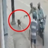 ‘개 식용’ 세계 2위 베트남…주인 눈앞에서 전기충격기로 개 훔친 10대들