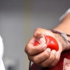 ‘헌혈 전 문항’에 차별… 성소수자 혐오 부른다