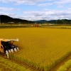 [달콤한 사이언스] 오존 오염에 동아시아 농업손실 75조원