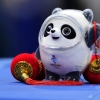 베이징올림픽 마스코트 ‘빙둔둔’도 당했다…짝퉁 역풍 맞은 중국