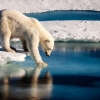 [달콤한 사이언스] 북극해의 미세플라스틱 오염, 10년 전부터 시작됐다