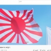 日 욱일기 광고에 서경덕 “일본정부의 개념 없는 역사관 보여준 것“