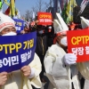 IPEF 뜨자 뒤로 밀린 CPTPP… 중국 변수에 선거·농민 반발까지 ‘얽히고설켜’